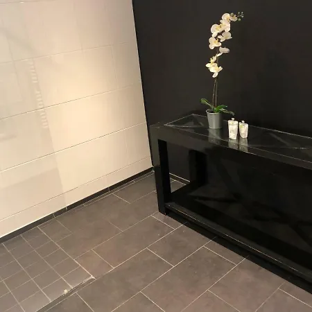酒店 多彭伯格酒店 3*